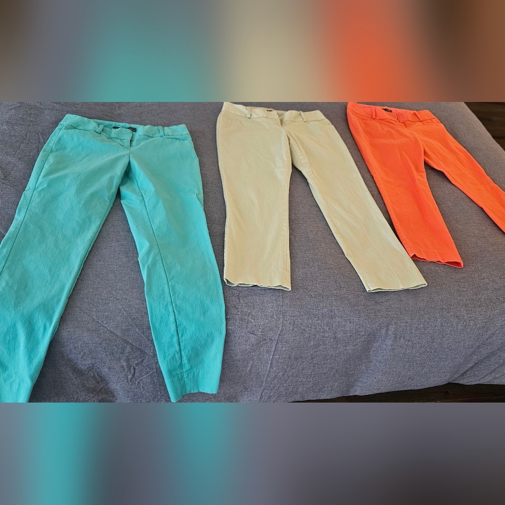 limited dress pant bundle